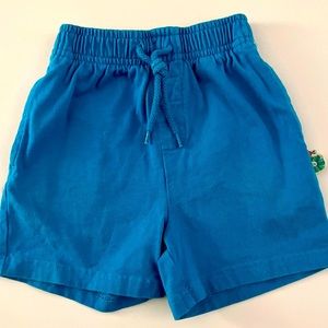 Carters Kids Blue Eric Carle Drawstring Shorts with Pockets | 18-24 M | GUC